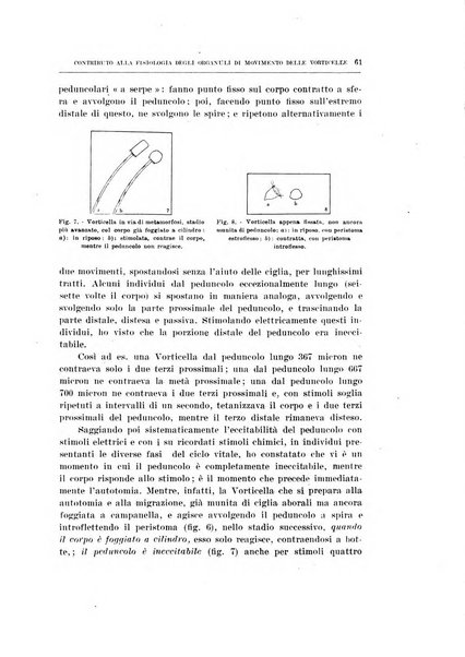 Archivio di scienze biologiche