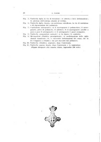 Archivio di scienze biologiche