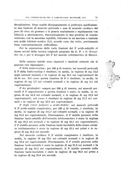 Archivio di scienze biologiche