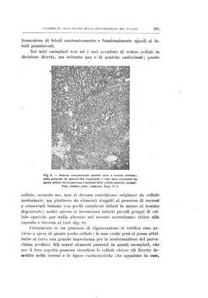 Archivio di scienze biologiche