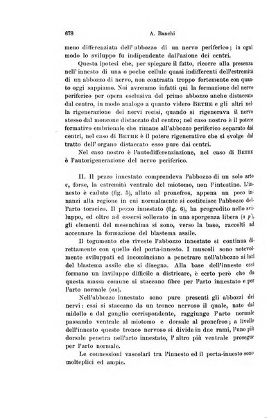 Archivio italiano di anatomia e di embriologia