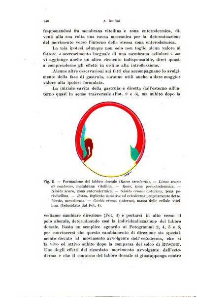 Archivio italiano di anatomia e di embriologia