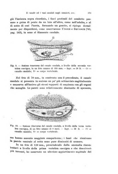 Archivio italiano di anatomia e di embriologia