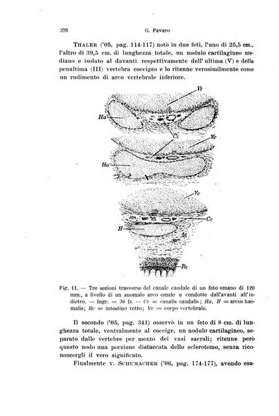 Archivio italiano di anatomia e di embriologia