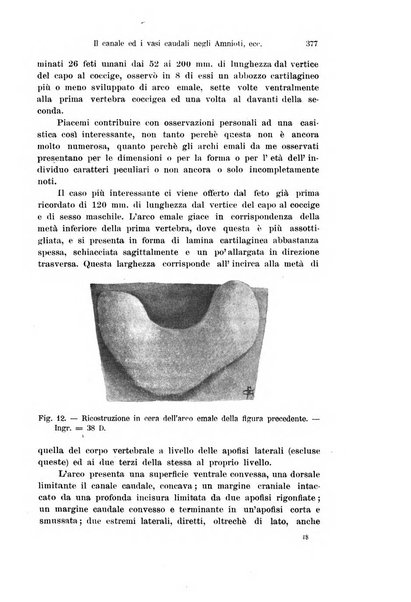 Archivio italiano di anatomia e di embriologia