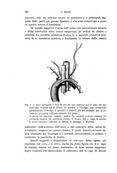 Archivio italiano di anatomia e di embriologia