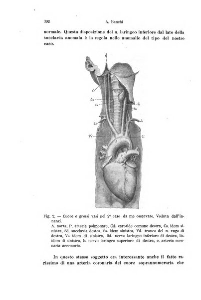 Archivio italiano di anatomia e di embriologia