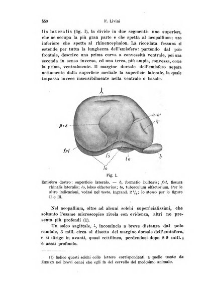 Archivio italiano di anatomia e di embriologia