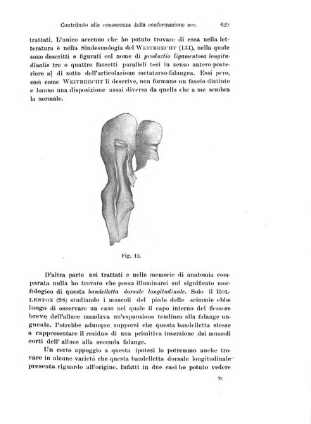 Archivio italiano di anatomia e di embriologia