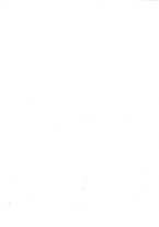 giornale/TO00176875/1908-1909/unico/00000013