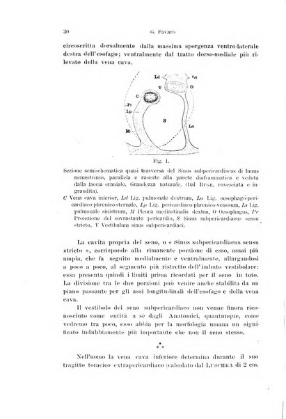 Archivio italiano di anatomia e di embriologia