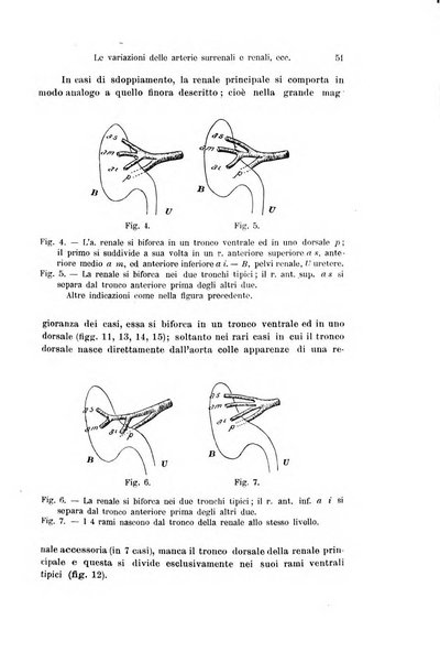 Archivio italiano di anatomia e di embriologia