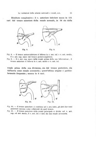 Archivio italiano di anatomia e di embriologia