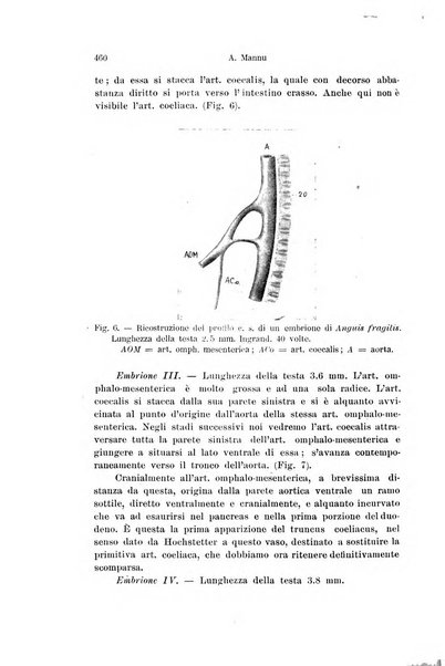 Archivio italiano di anatomia e di embriologia