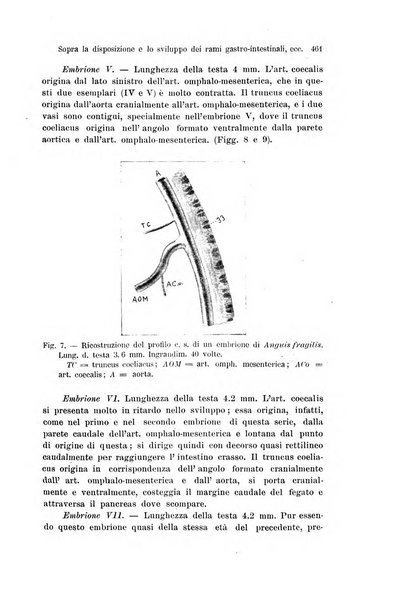 Archivio italiano di anatomia e di embriologia