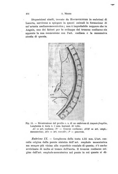 Archivio italiano di anatomia e di embriologia