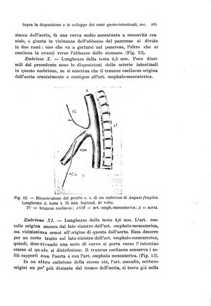 Archivio italiano di anatomia e di embriologia