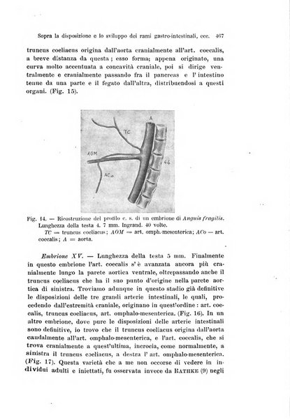 Archivio italiano di anatomia e di embriologia