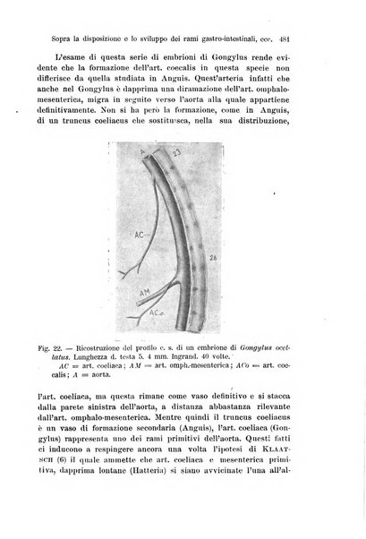 Archivio italiano di anatomia e di embriologia