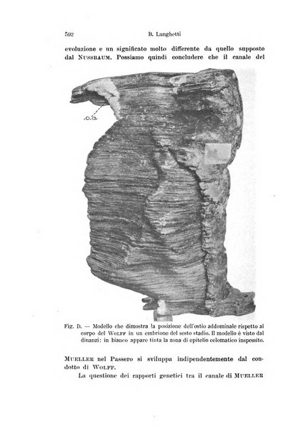 Archivio italiano di anatomia e di embriologia