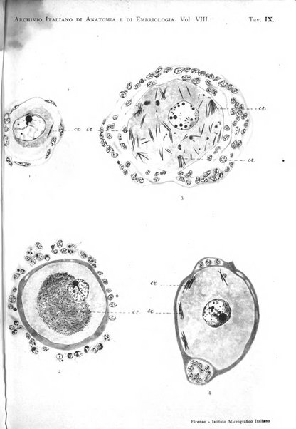 Archivio italiano di anatomia e di embriologia