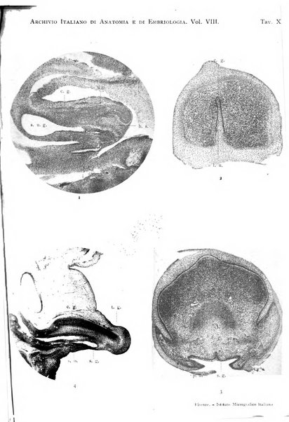 Archivio italiano di anatomia e di embriologia