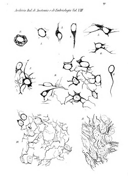 Archivio italiano di anatomia e di embriologia