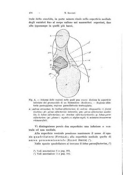 Archivio italiano di anatomia e di embriologia