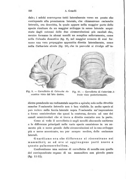 Archivio italiano di anatomia e di embriologia