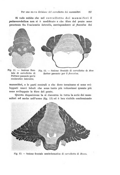 Archivio italiano di anatomia e di embriologia