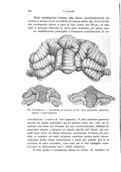 Archivio italiano di anatomia e di embriologia