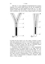 giornale/TO00176875/1910/unico/00000560