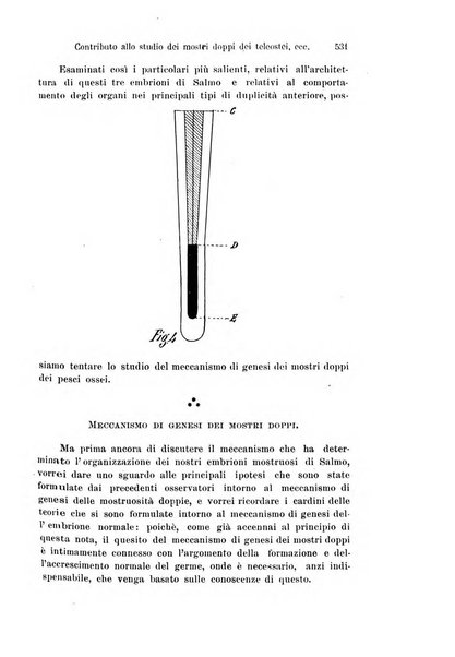 Archivio italiano di anatomia e di embriologia