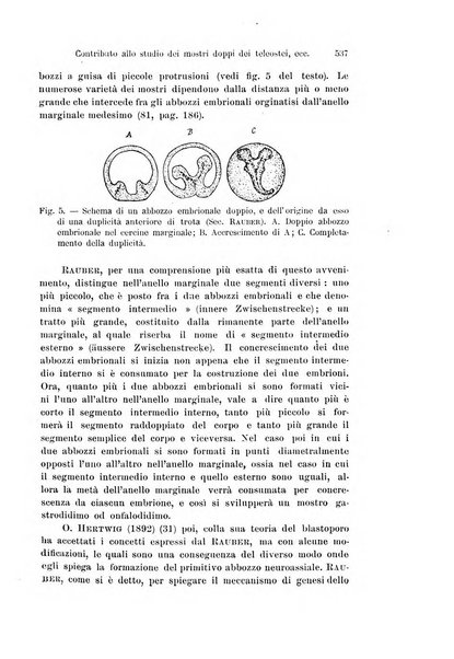 Archivio italiano di anatomia e di embriologia