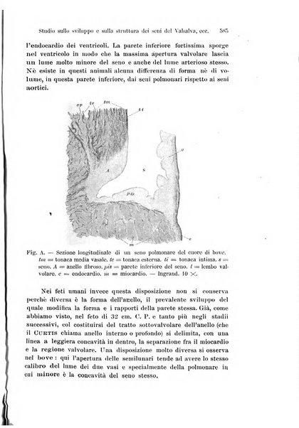 Archivio italiano di anatomia e di embriologia