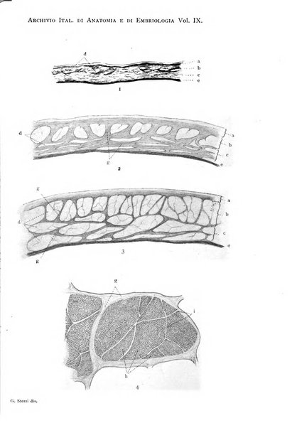 Archivio italiano di anatomia e di embriologia