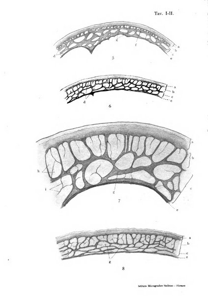 Archivio italiano di anatomia e di embriologia