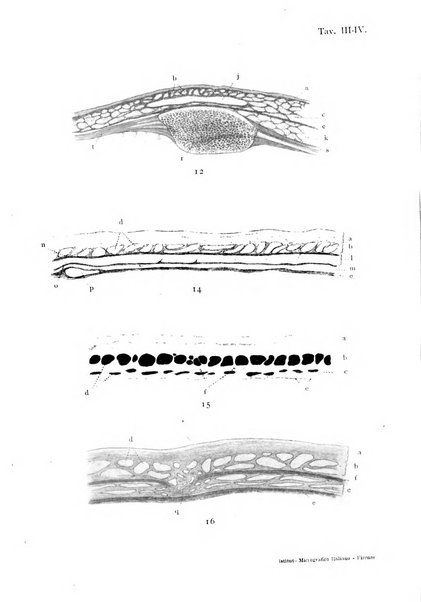 Archivio italiano di anatomia e di embriologia