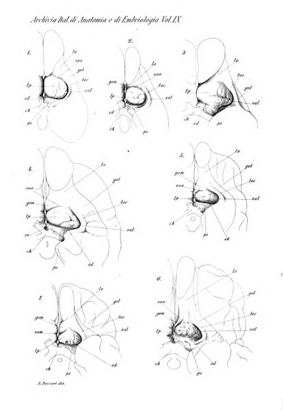 Archivio italiano di anatomia e di embriologia