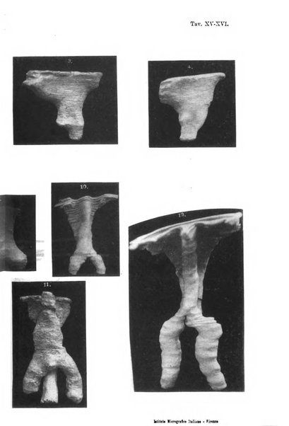 Archivio italiano di anatomia e di embriologia