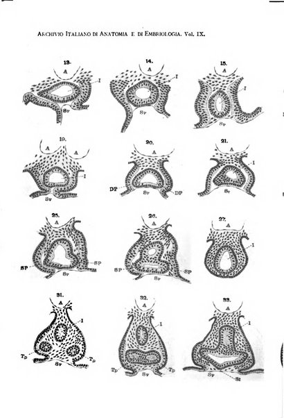 Archivio italiano di anatomia e di embriologia