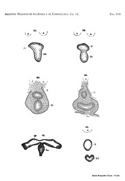 Archivio italiano di anatomia e di embriologia