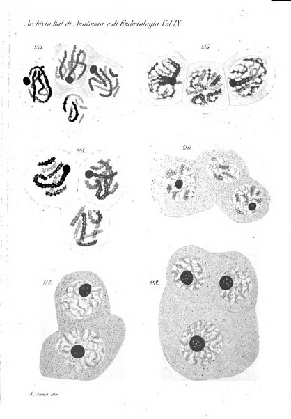 Archivio italiano di anatomia e di embriologia