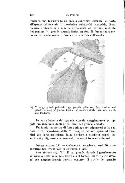 Archivio italiano di anatomia e di embriologia