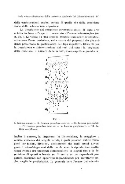 Archivio italiano di anatomia e di embriologia