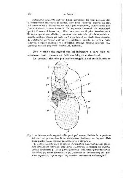 Archivio italiano di anatomia e di embriologia