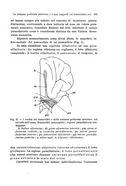 Archivio italiano di anatomia e di embriologia