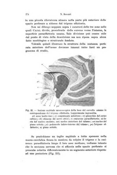 Archivio italiano di anatomia e di embriologia