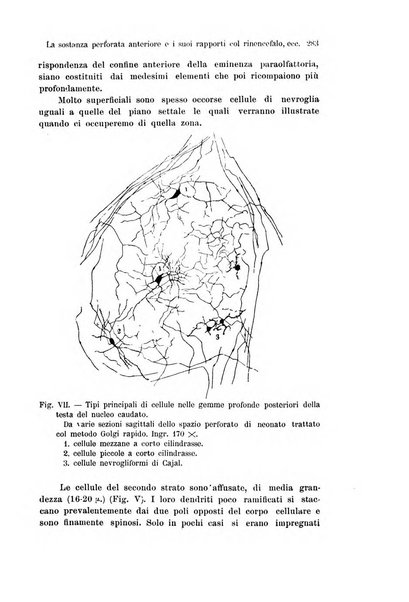 Archivio italiano di anatomia e di embriologia