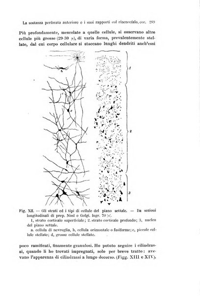 Archivio italiano di anatomia e di embriologia